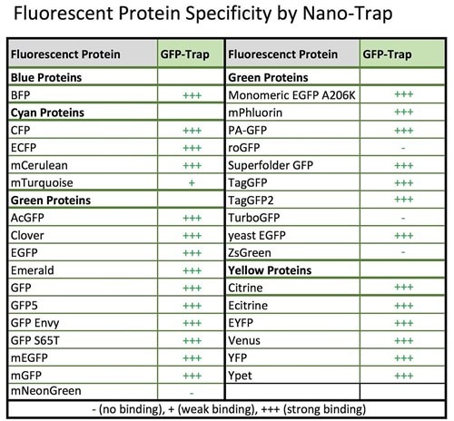 GFP-Trapの蛍光タンパク質に対する特異性をまとめた表