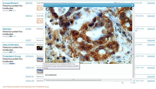 Antibody Resourceの抗体検証データ画像