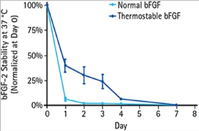 HumanKine® FGFbasic-TSと大腸菌由来FGF basicの熱安定性の比較グラフ
