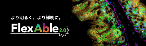 FlexAble2.0
