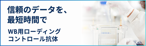 プロテインテック タグコントロール抗体