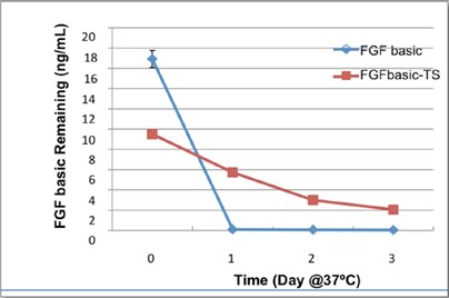 HumanKine® FGFbasic-TSと大腸菌由来FGF basicの熱安定性の比較グラフ